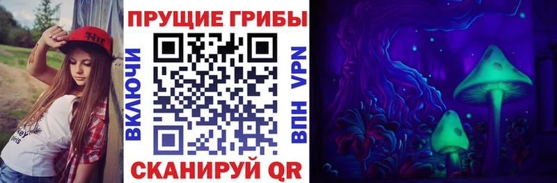 Галлюциногенные грибы Magic Shrooms  mega сайт  Комсомольск 